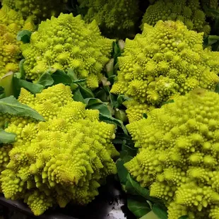 Representations of Fibonacci spirals in nature interest me.