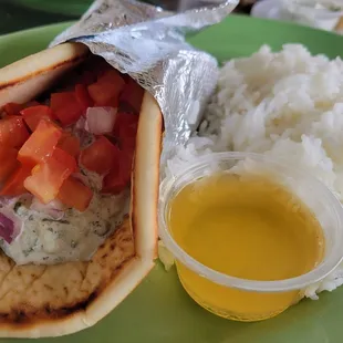 Gyro Plate