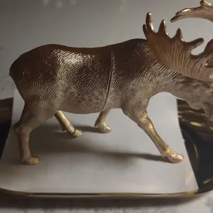 Token moose on the check plate