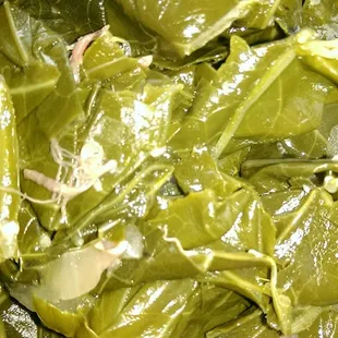 The green, no can here.