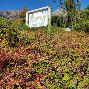 Such a beautiful setting....loved the fall colors