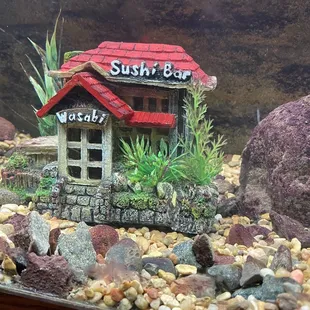 The sushi bar