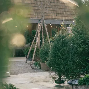 our front porch is perfect for showing off your newest purchase