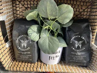 Esperanza Coffee Collective