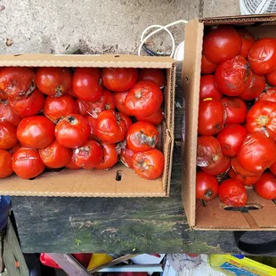 I bought 5 boxes of canning tomatoes from them. 1 1/2 of the 5 boxes I could not use they were terrible.
