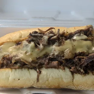 Brisket cheese steak is the sh!t! Highly recommend.