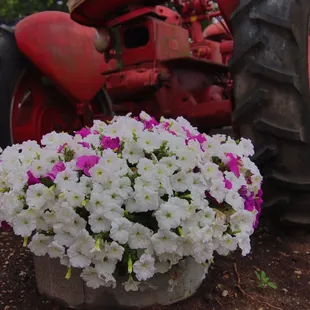 a tractor in the background