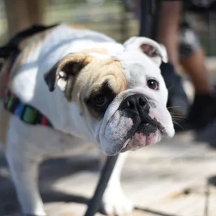 where's my Wine, Pablo?  we love this place and everything about it.