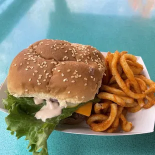 Wellington Burger and fries