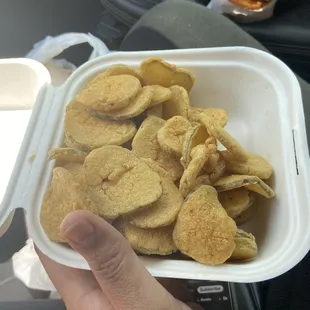 Fried Dill Pickles-crispy