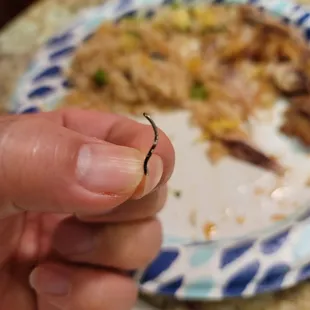 Metal wire found in Veggie Fried Rice