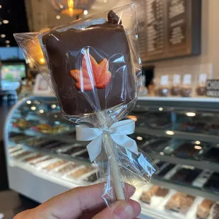 a hand holding a chocolate lollipop