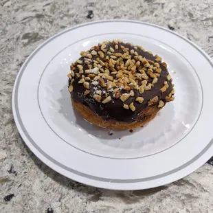 1/12/23 Cake Donut with Chocolate Icing and Peanuts