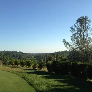 It's beautiful here!