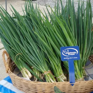 Green onions