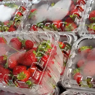 Fresh strawberries