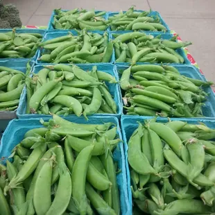 Fresh snap peas all organic