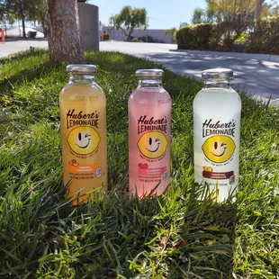 Delicious Lemonade! Variety of flavors..