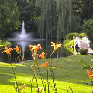 Clients renting the gardens or house appreciate the opportunity for great family photos.