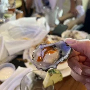 Oysters on the Half Shell*