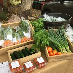 Lots of clean grown yummy veggies at the Portal farmers market every Saturday morning.