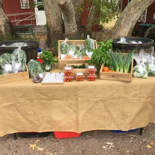 Farm stand at the Portal Farmers Market, every Saturday next to the post office.