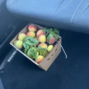 A bunch of tiny peaches