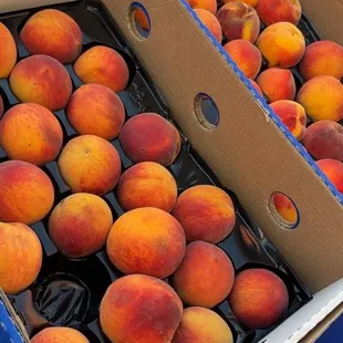 Peaches