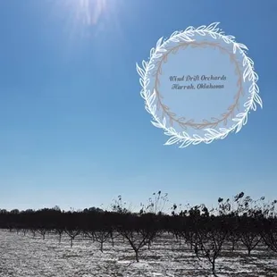 Winter 2018 - Wind Drift Orchards, Harrah, Oklahoma