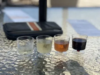 The Dog And Oyster Micro-Vineyard