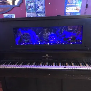 A fish tank in a piano.