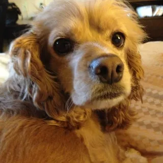 Bella D.