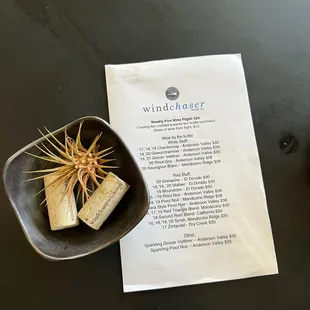 Today's wine list and a very happy air plant