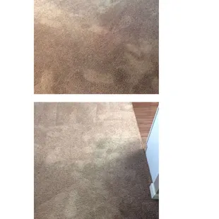 They said carpet had heavy stains when there are none. They over charged for fridge,freezer, sink