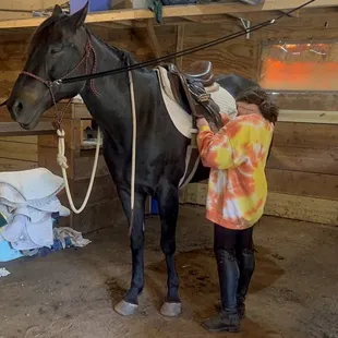 Peyton putting on Boomer's tack for their lesson