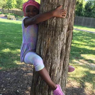 Tree hugging at Windisch.