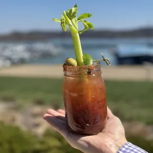 Perfect Bloody Mary!