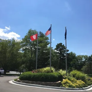 God bless IU - God bless USA