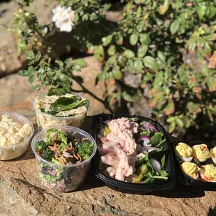 a variety of salads on a rock