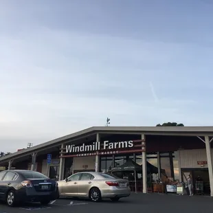 cars parked in front of the store