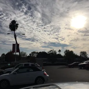 a parking lot with cars and palm trees