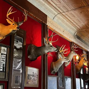 Mounts on the wall inside