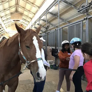 Junior Girl Scout Badge workshop