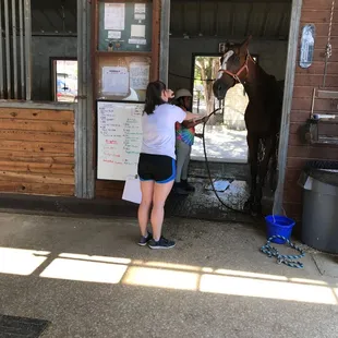 Great detail in teaching students