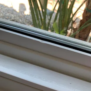 One of the dents in a window