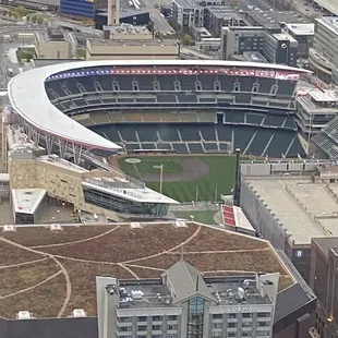 Target Field