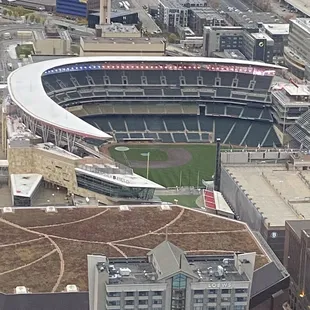 Target Field