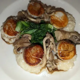 My scallops. Delicious!