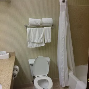 Small but it has everything including a bathtub