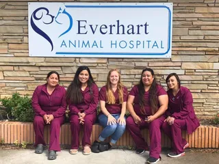 Everhart Animal Hospital